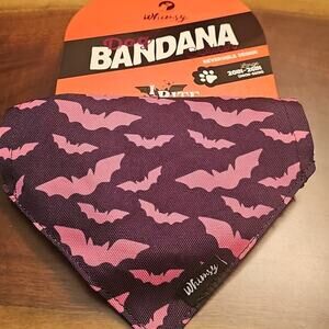 Whimsy Dog Collar W/ Bandana Collar Black And Fuchsia Reversible Design Bats